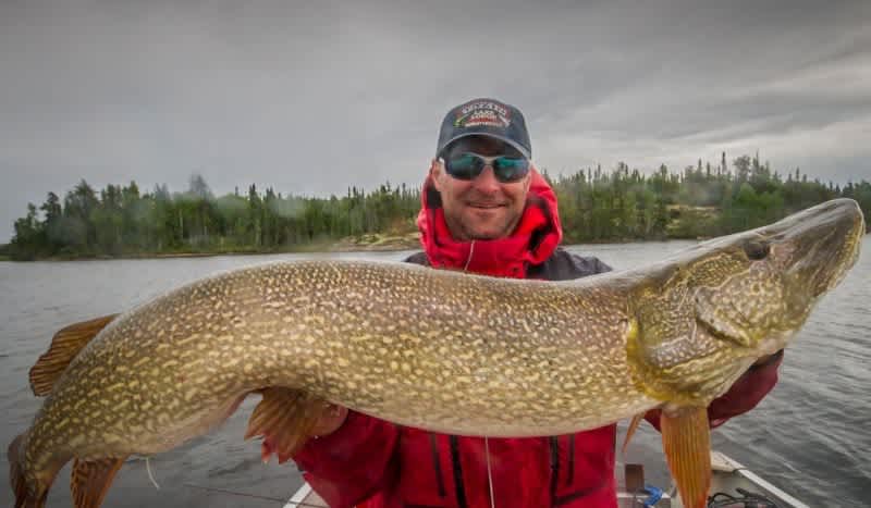 Angler Hooks Two Giant Northern Pike Each Exceeding 51″