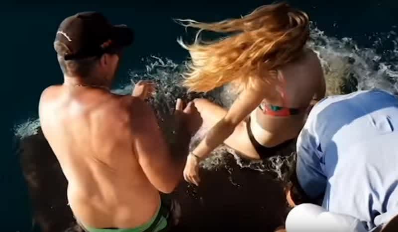 Video: Australian Woman Hand-Feeding Shark Nearly Loses Finger