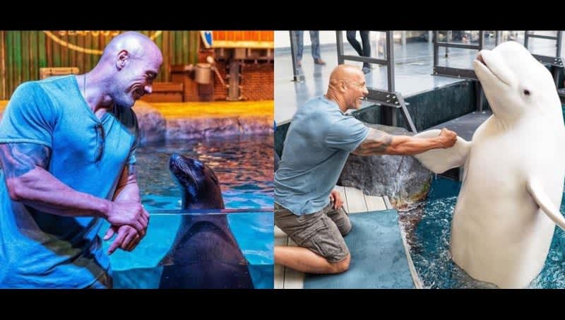 Animal Rights Activists Slam Dwayne ‘The Rock’ Johnson Over Family Aquarium Visit