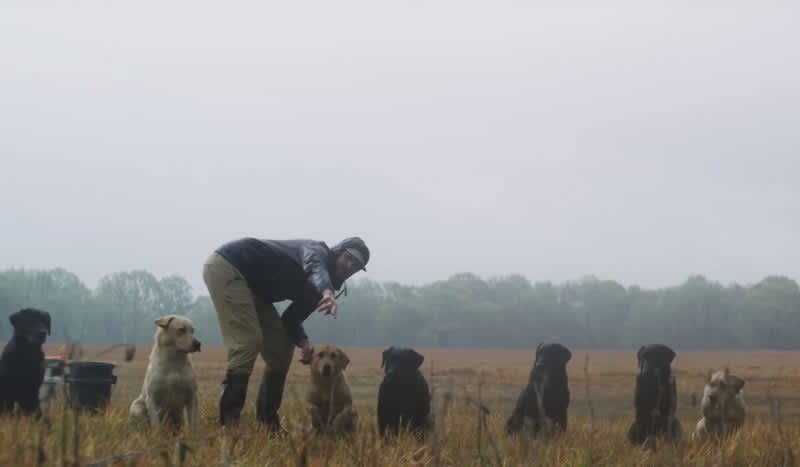 Sitka Films Presents ‘Say When’ a Must-See For Gun Dog Owners