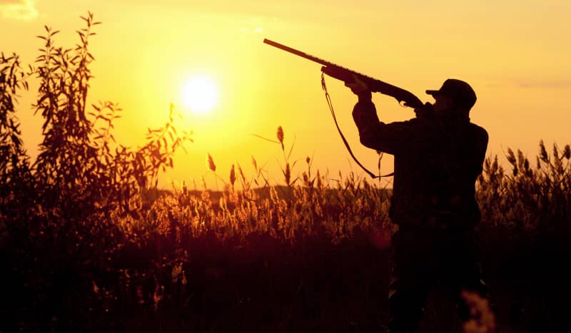 How to Choose the Best Upland Hunting Vest