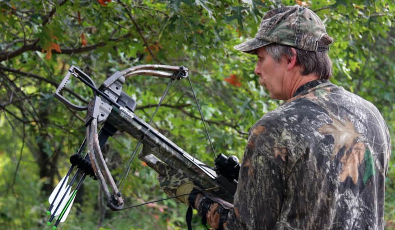How To Know If You Should Replace Your Crossbow Limbs