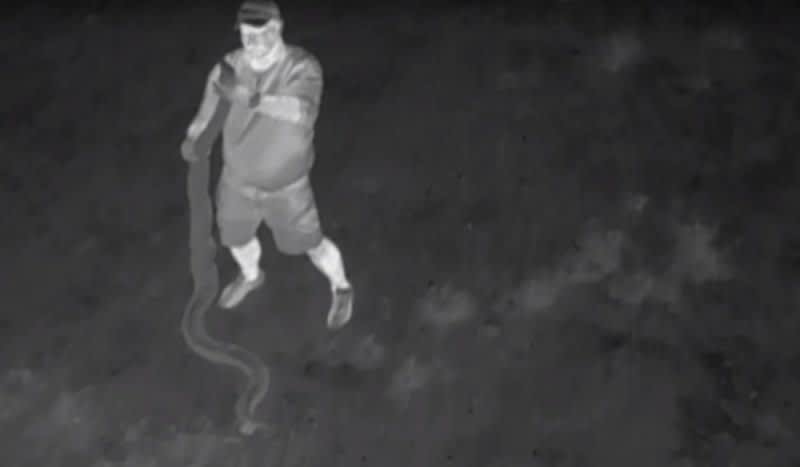 Thermal-Tracking Drones Being Utilized to Help Python Hunters Find Snakes in the Everglades