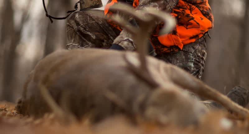 You Just Shot a Whitetail Deer!… Now What?…