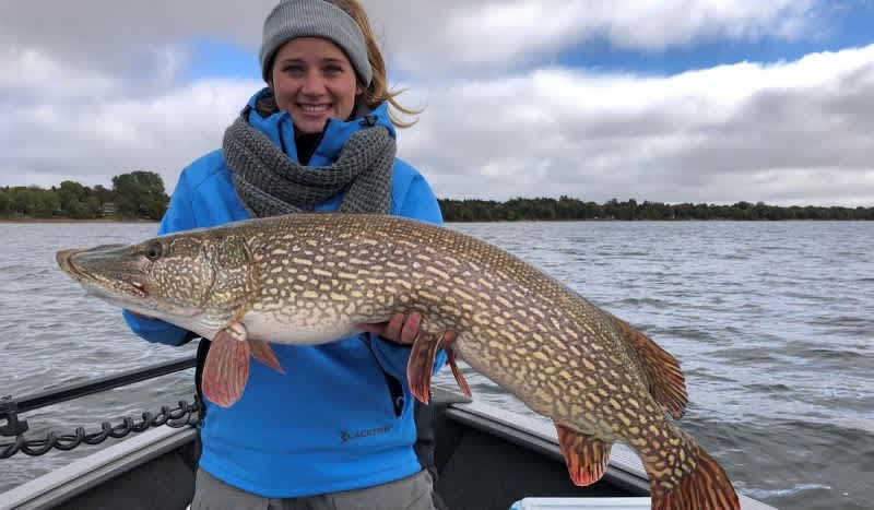 Angler Lands First Catch-and-Release Record for Northern Pike in Minnesota