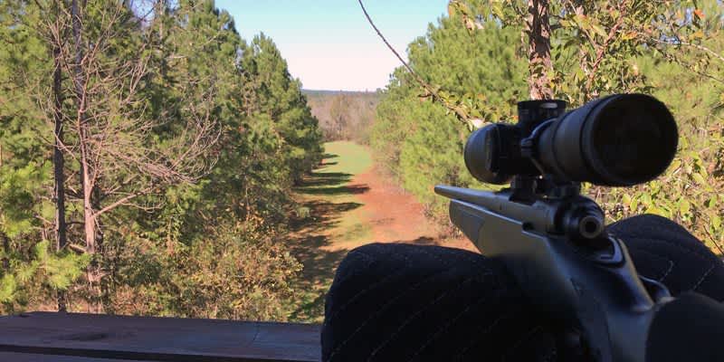 Muzzleloader Rifle Hunt for Deer and Pigs