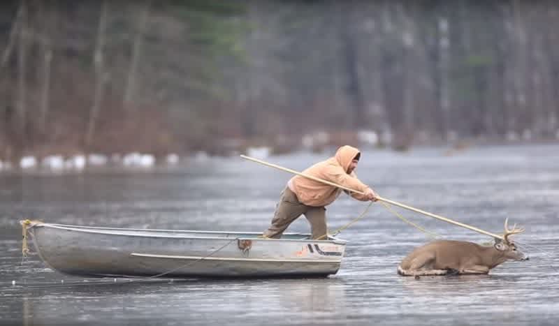 Gripping Video Highlights Group of Hunters Rescuing Stranded Whitetail Deer From Frozen Lake