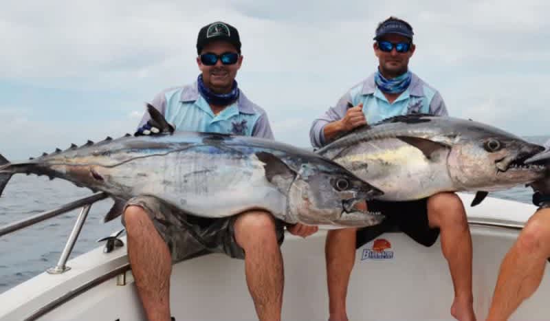 Video: There Are Lots of Fish in The Sea, But Not Many Make Your Reel Scream Like Dogtooth Tuna