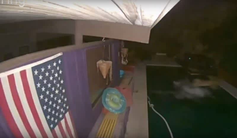 Video: Home Security System Captures Mountain Lion Cannonball Into Pool In Pursuit of a Deer