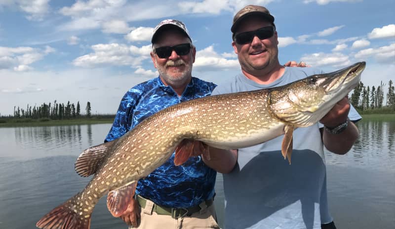 Saskatchewan Trophy Pike – Everything you need to know about hooking a northern monster
