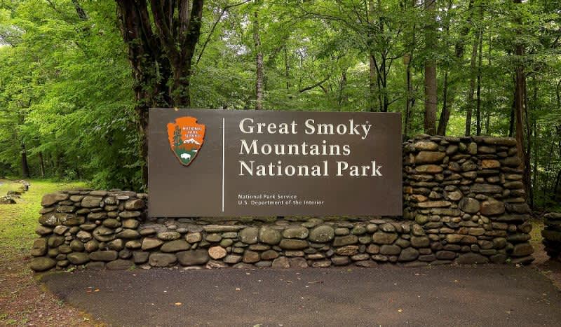 Drugs, Not Bear Attack, Killed Tennessee Man in Great Smoky Mountains National Park