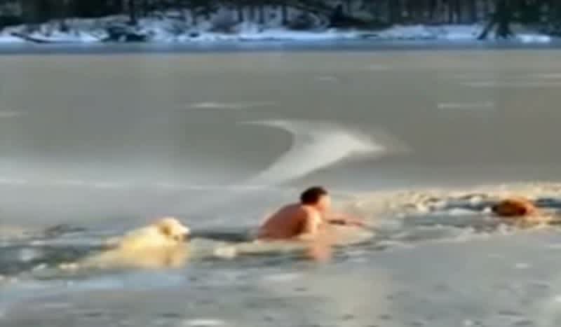 Video Captures New York Man Rescuing Two Dogs from Frozen Reservoir