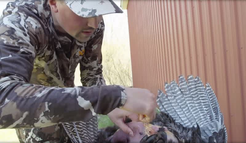 Video: MeatEater Demonstrates How to Clean a Turkey 101