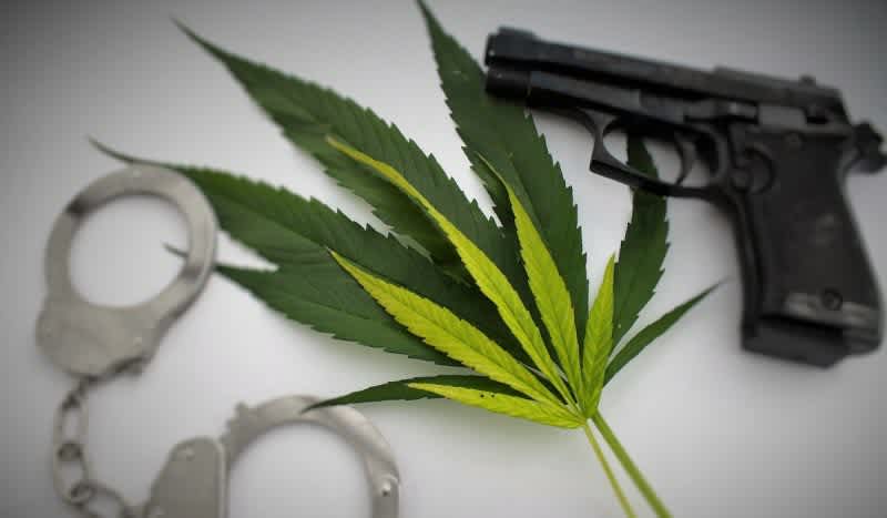 Second Amendment Protection Act Seeks to Safeguard Medical Marijuana Users