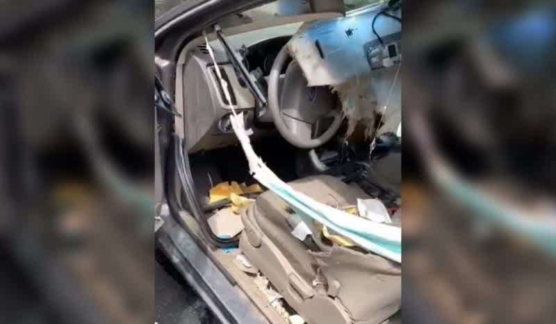 This Video Shows The Aftermath of a Bear ‘Detailing’ The Inside of a Car