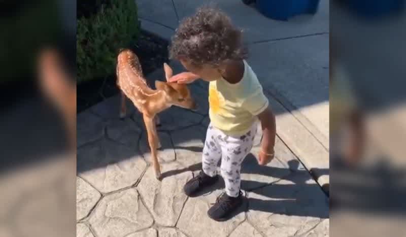 Viral Video: Jarvis Landry’s Daughter Strikes Up Friendship With Baby Deer