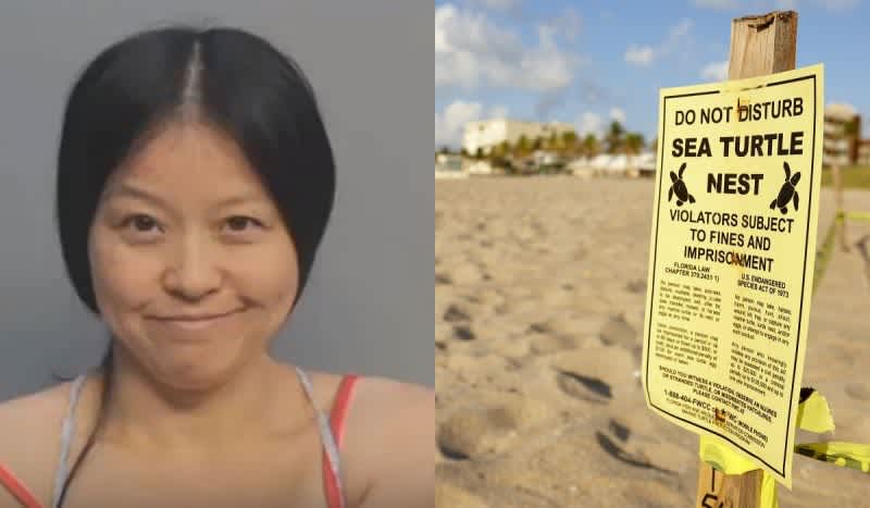 Miami Police Arrest Woman for ‘Stomping’ on Sea Turtle Nest