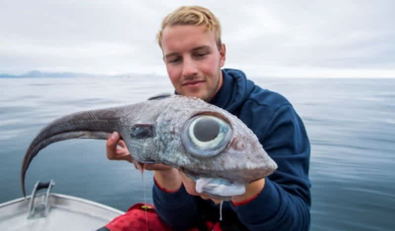 Angler Reels in Alien-Looking Fish, Fries it, Claims it Tastes Better Than Cod