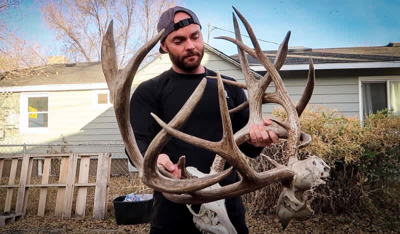 Check Out These Locked Mule Deer Deadheads Eric Chesser Got His Hands On