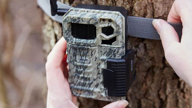 A Season Review: SpyPoint Link Micro Camera