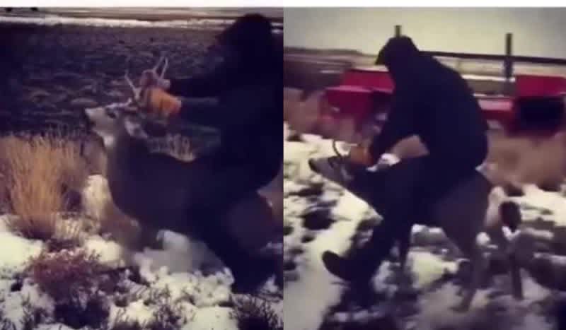 Oregon Teen Caught on Video Riding Mule Deer Buck, Arrested