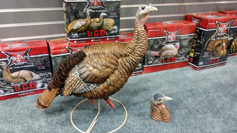 [ATA Show 2020] Avian-X HDR Hen offers LIVE BIRD Quality in a Decoy