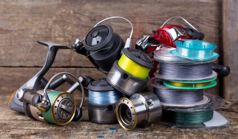 [Gear Hunter] Are Your Reels Screaming for New Fishing Line?