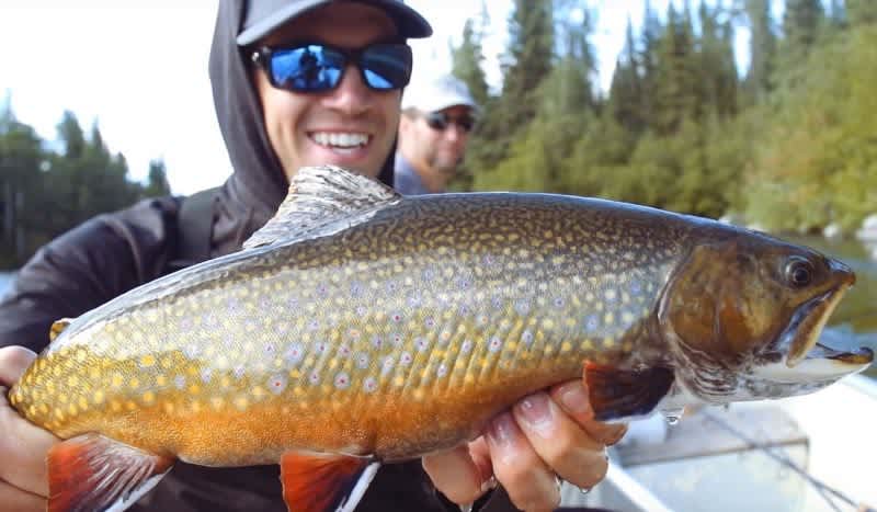 Destination Spotlight: Trophy Fly-In Fishing in Northern Manitoba – Bolton Lake Lodge