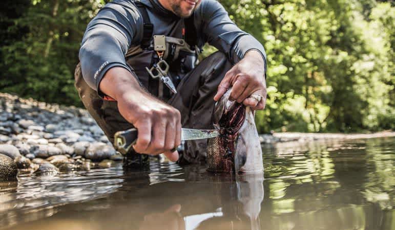 Choosing the Right Fillet Knife for Cleaning Fish