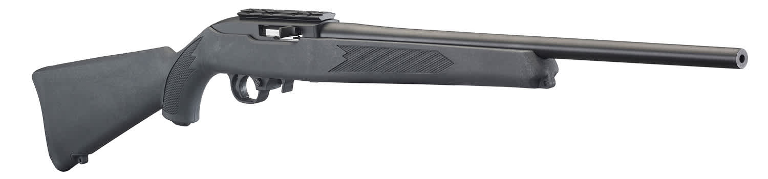 Ruger 10/22 - Editor's Pick