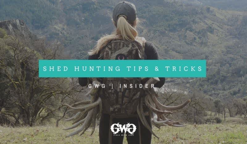 Team GWG Shed Hunting Tips & Tricks