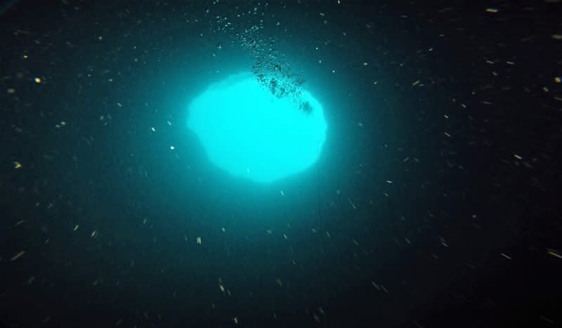 Scientists Are Heading to Explore Mysterious ‘Blue Hole’ Off Florida’s Gulf Coast