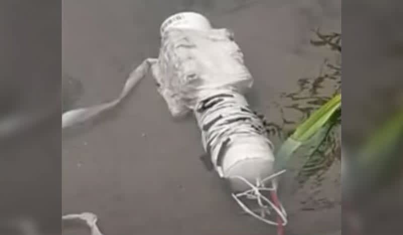 California Anglers Catch Live Bombs While Fishing The Sacramento River