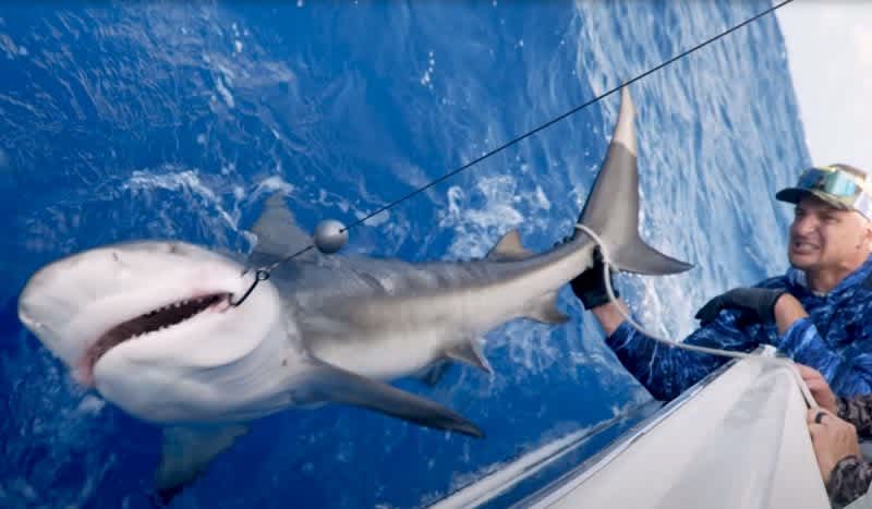 Gronk Catches Bull Shark While Fishing With BlacktipH