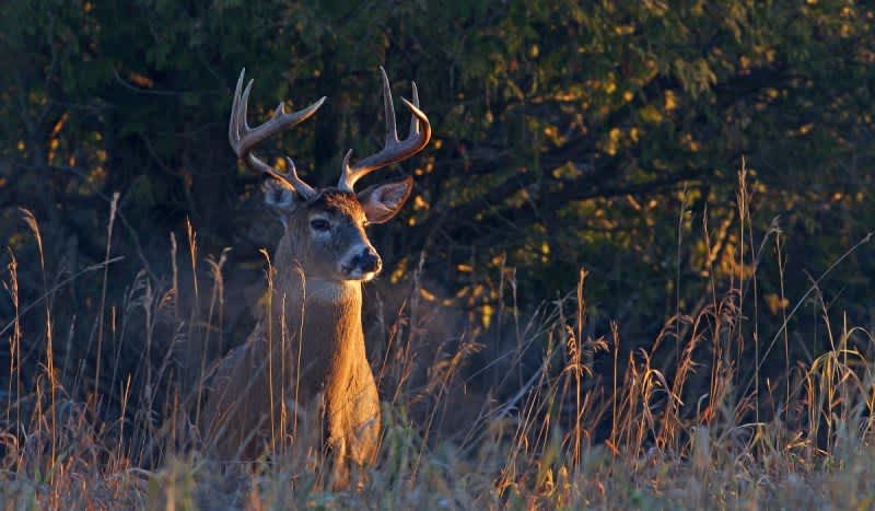 5 Simple Rules for Hunting Early-Season Cold Fronts
