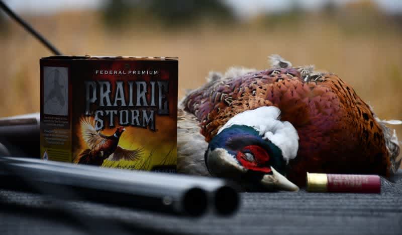 The First Signs of Fall – Federal Premium Prairie Storm