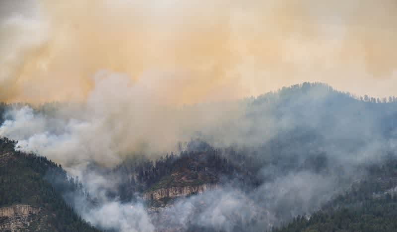 Thousands of Hunting License Refunds Offered to Hunters Amid Record Breaking Colorado Wildfires