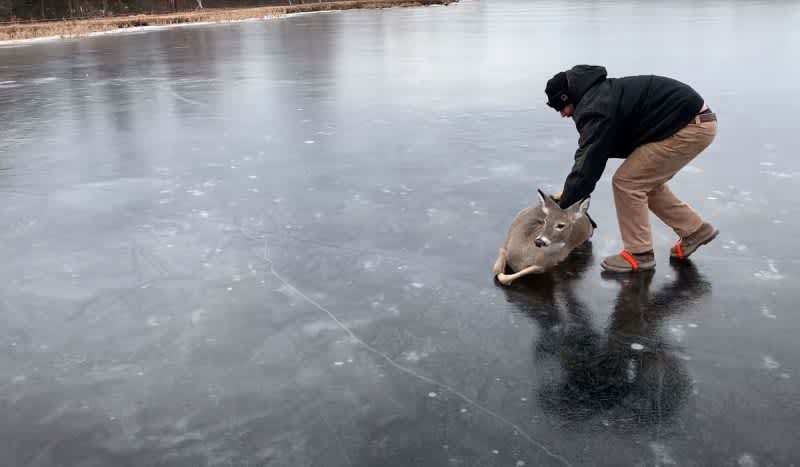 Video: Wisconsin Man Pushes Stranded Deer Off Frozen Lake