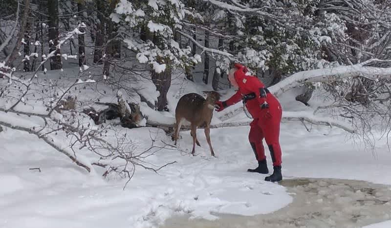 A Man Had to be Rescued After Falling Through Ice Trying to Save a Deer