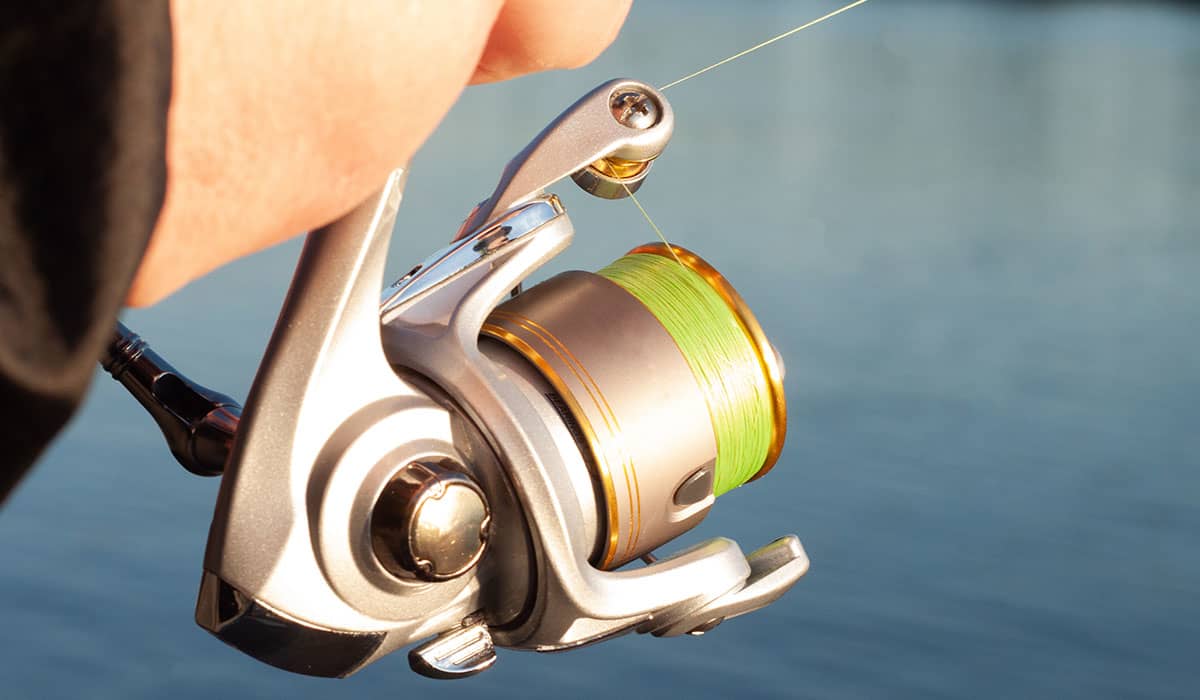 The Favorite - Fishing Rods, Reels, Line, and Knots - Bass Fishing