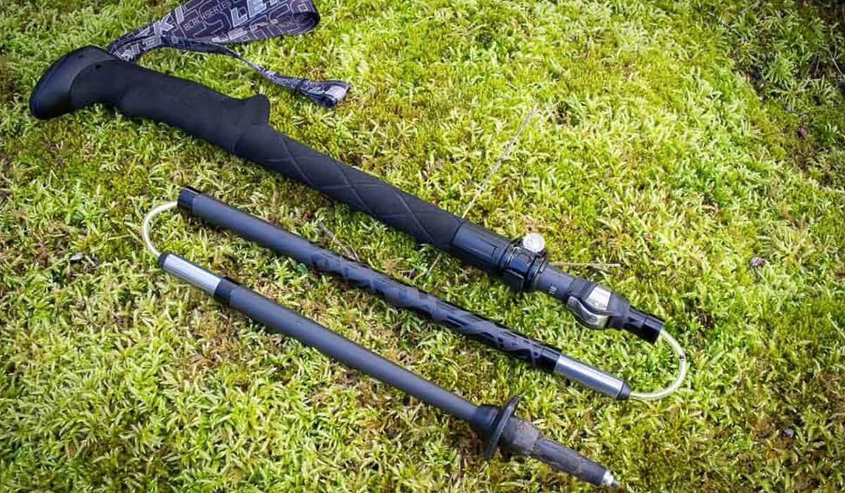 Leki Micro Vario Carbon Trekking Pole - Editor's Pick