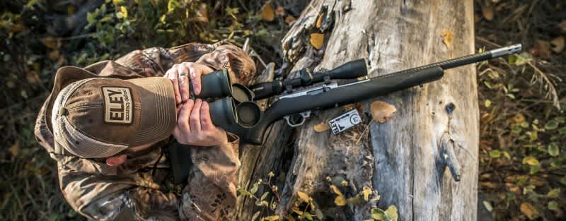 Small But Mighty: The 5 Best 22LR Hunting Loads on the Market