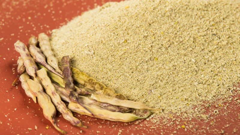 Top 5 Wild Plants You Can Make Flour With