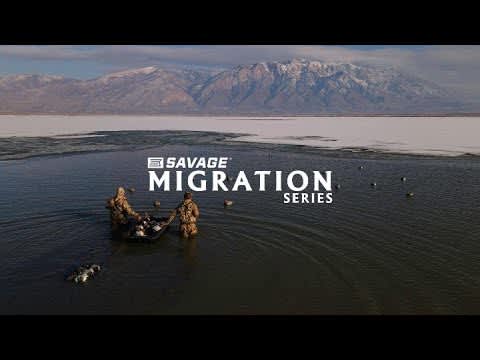 Savage Saturday: Savage Migration Series #2