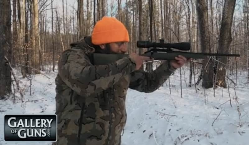 The Ruger American Predator- A competent hunting rifle from a