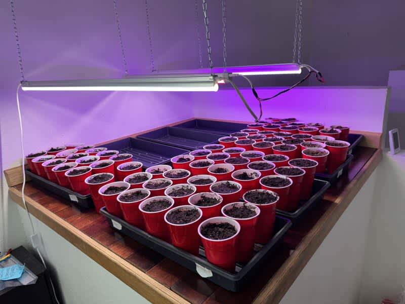 How to Setup an Indoor Growing Space to Start Seeds