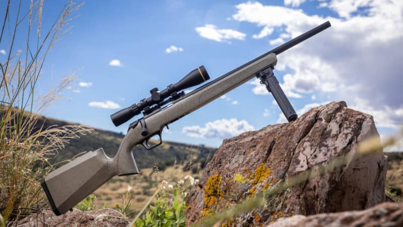 Adaptable & Accurate: Springfield Armory’s New Model 2020 Rimfire Rifles