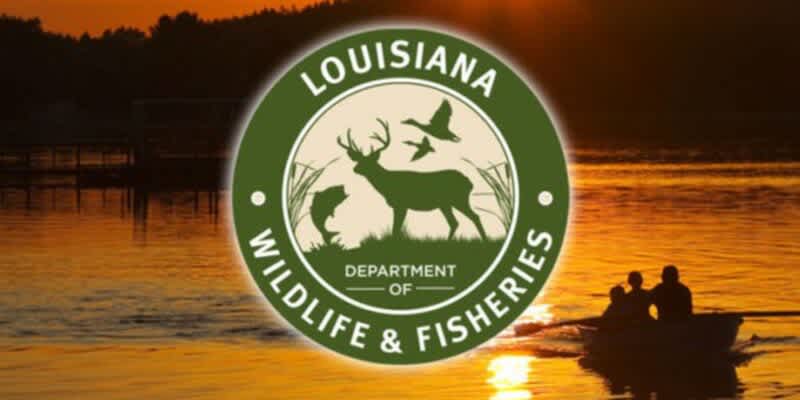 LDWF Stresses the Importance of Reporting Fish Kills this Summer