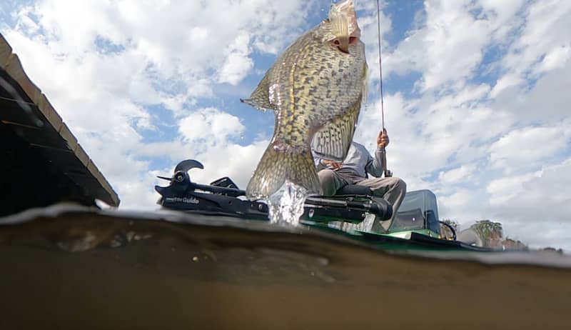 National Crappie League Heads to Lake of the Ozarks