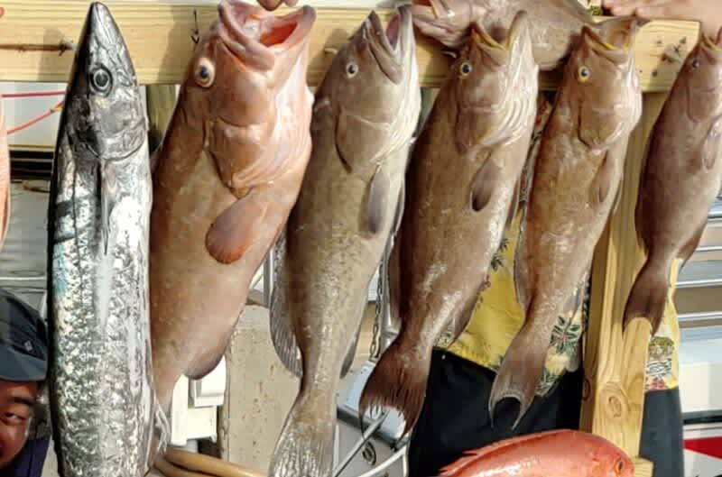 2023 Federal Gag Grouper Season in the Gulf of Mexico Closing Early